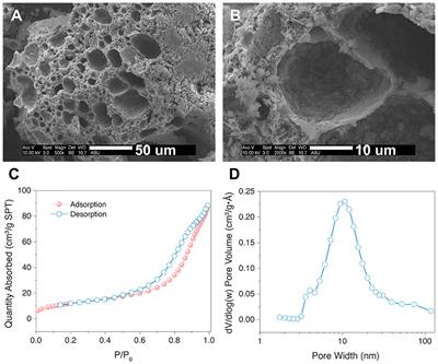 Modified aluminosilicates display antibacterial activity against nontuberculous mycobacteria and adsorb mycolactone and Mycobacterium ulcerans in vitro